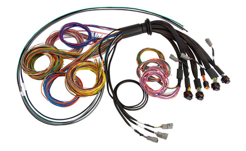 Nexus R3 Basic Flying Lead Harness