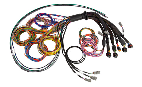 Nexus R5 Basic Flying Lead Harness