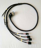 Custom Harness Construction